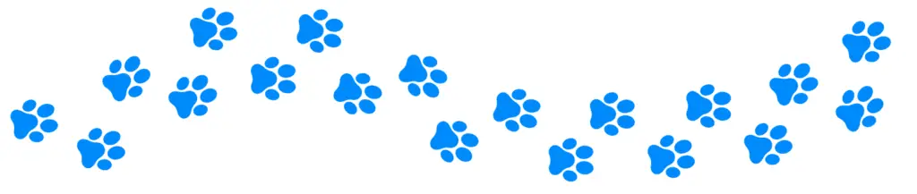 Paw prints blue