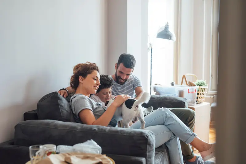 Massachusetts home with family, children, pets, dog