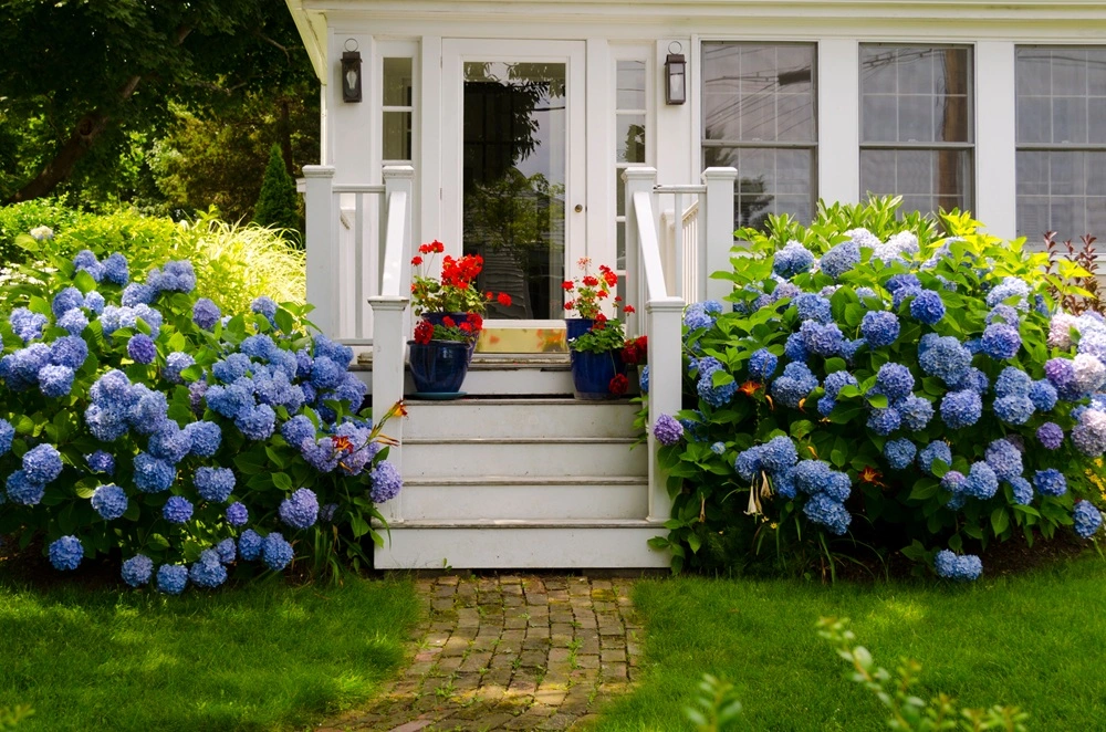 HVAC Services in Dedham, MA