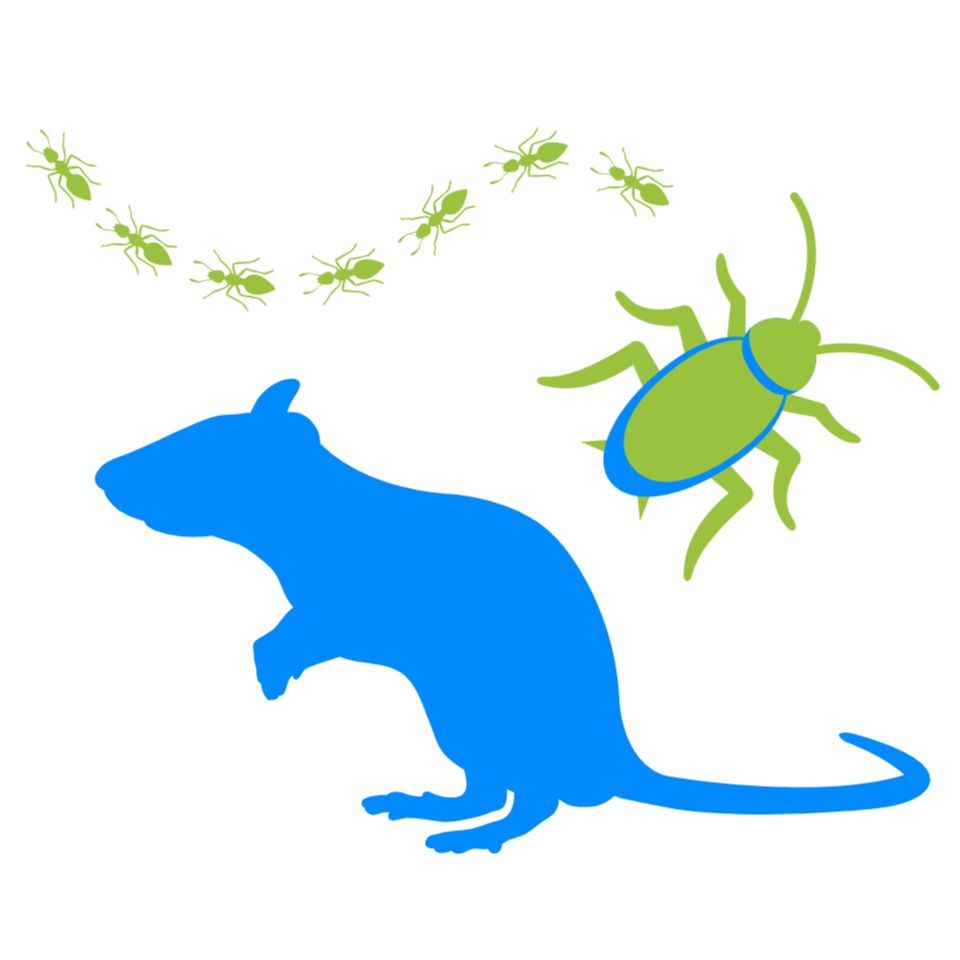 Pests Icon