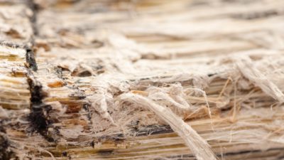 Vermiculite Attic Insulation Asbestos Particles