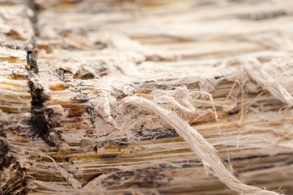 Vermiculite Attic Insulation Asbestos Particles
