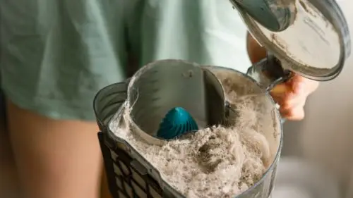 Woman holding full vacuum container of dust dirt and pollen brought in from spring allergies that can be prevented by installing new insulation with a professional energy efficiency provider